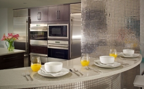 Med-Res-Vegas-views_Kitchen-detail_large