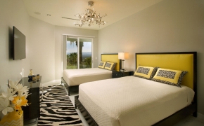 Med-Res-Vegas-views_Zebra-rm_large